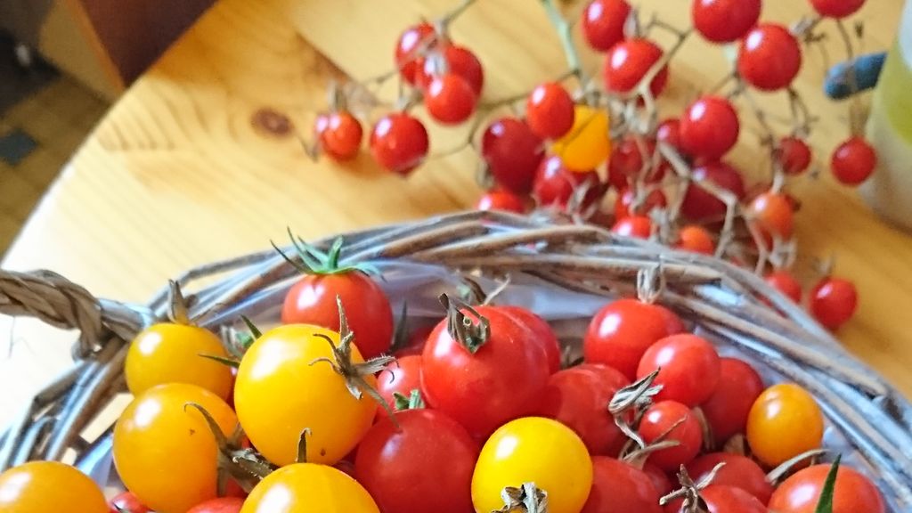 sauce à la tomate cerise